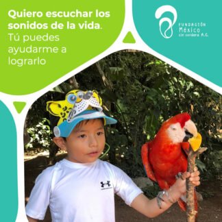 GUILLERMO EMILIANO RAMÍREZ ALEGRE