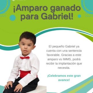 GABRIEL GUARNEROS MEZA